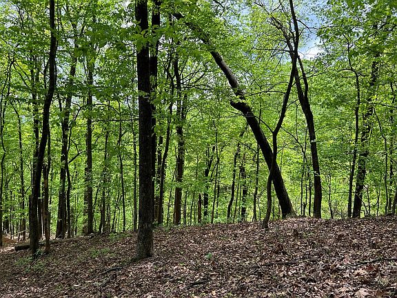 3rd image of 0 Valley View Dr