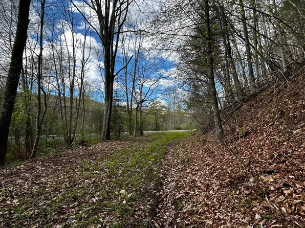 Moncove Lake Rd, Gap Mills, WV 24941