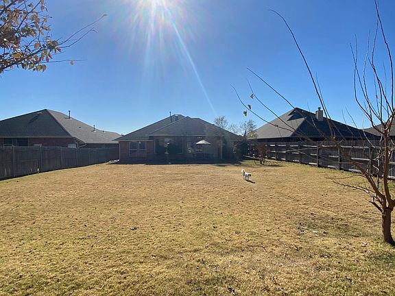 Backyard photo. Taken on 11/17/20. Small dog added for size comparison. :)