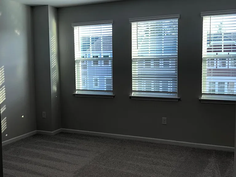 341 Lucky Ribbon Ln — Photo 20