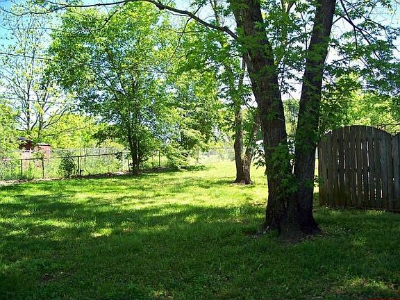 Back yard