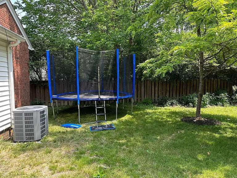 Back yard