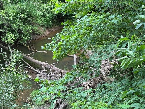 4th image of 0 Brush Run Rd