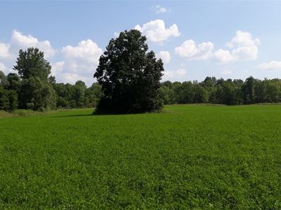 8841 Lyons Marengo Rd, Lyons, NY, 14489
