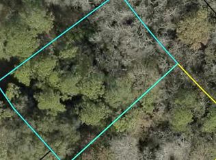 Z Section Drop Lot LOT 4, Palm Coast, FL 32164