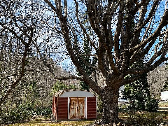 Back yard. Storage building