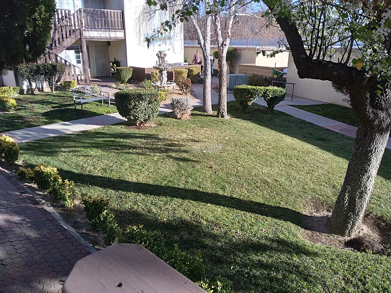 W Jacinto View Rd — Photo 11