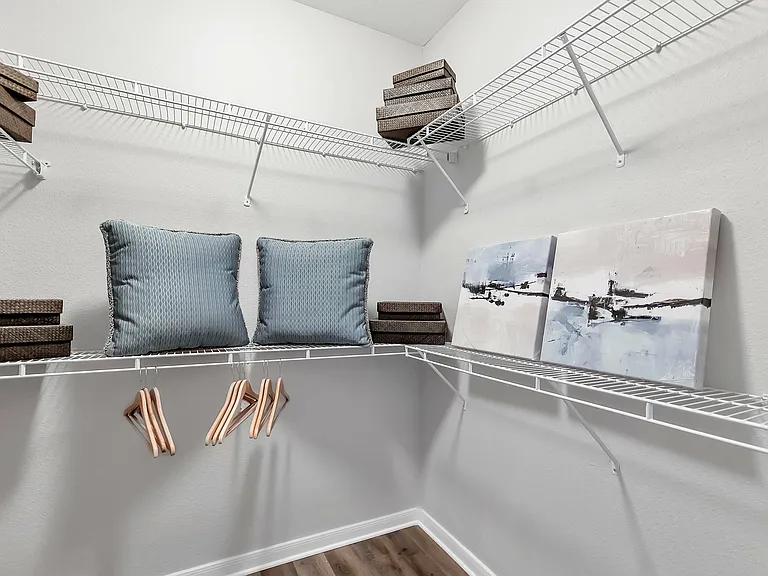 Spacious Walk-In Closets for Optimal Organization