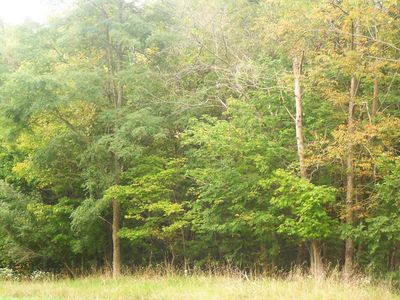 6340 Miola Rd, Clarion, PA, 16214