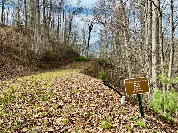 Lyle Mountain Trl Lot Wp053, Franklin, NC 28734