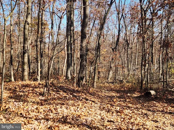 Albert Rill Rd, Hampstead, MD 21074