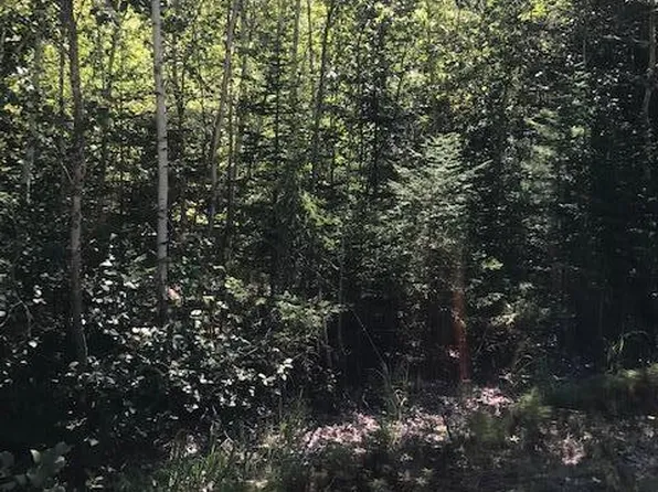 0 Willey District Road, Cherryfield, ME 04622