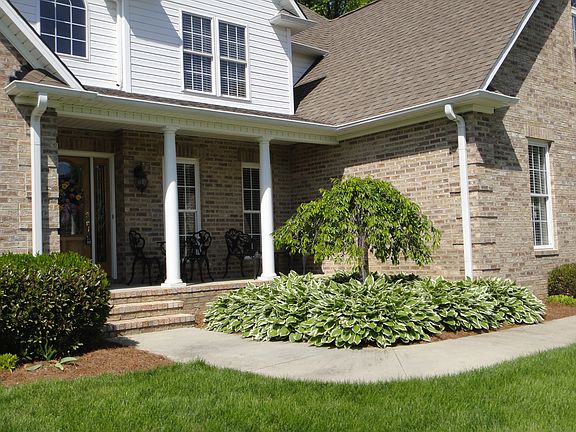 3rd image of 203 Pine Hill Ct