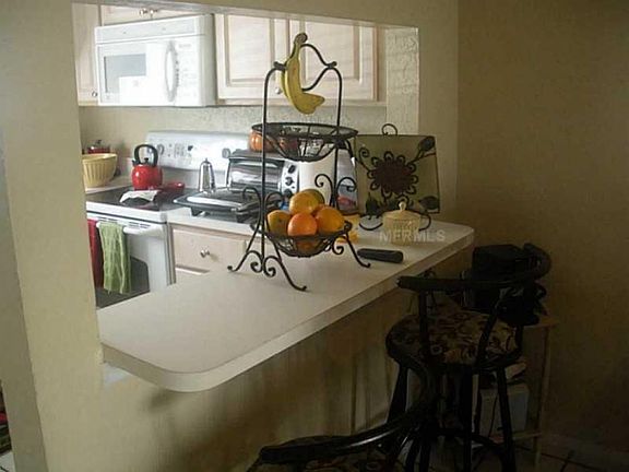 3rd image of 7705 Palmera Pointe Cir