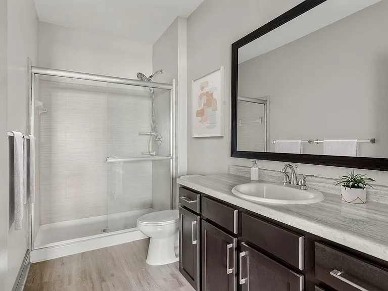 Luxe Lakewood Ranch - Bathoom