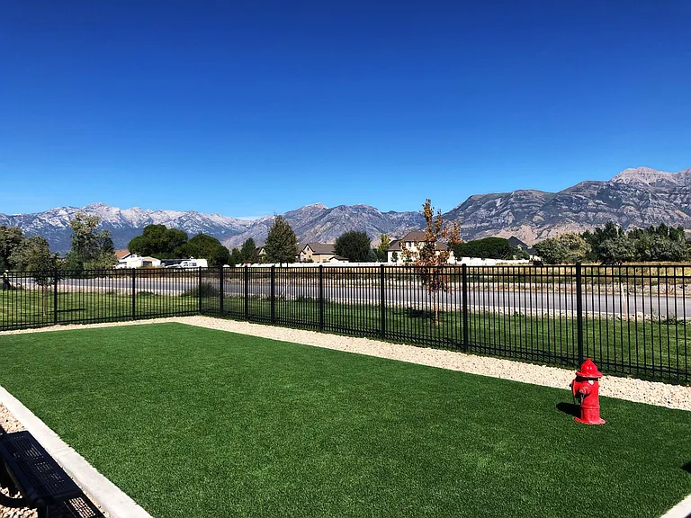 Dog Park