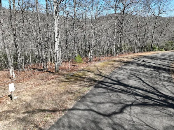 206 Northview Pkwy, Ellijay, GA 30536