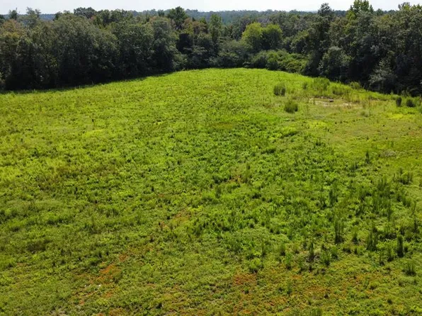 2553 Coot Adams Rd, Ashford, AL 36312