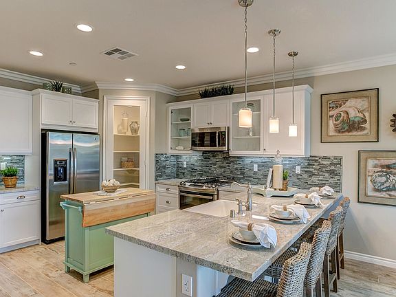 Well-appointed designer kitchen