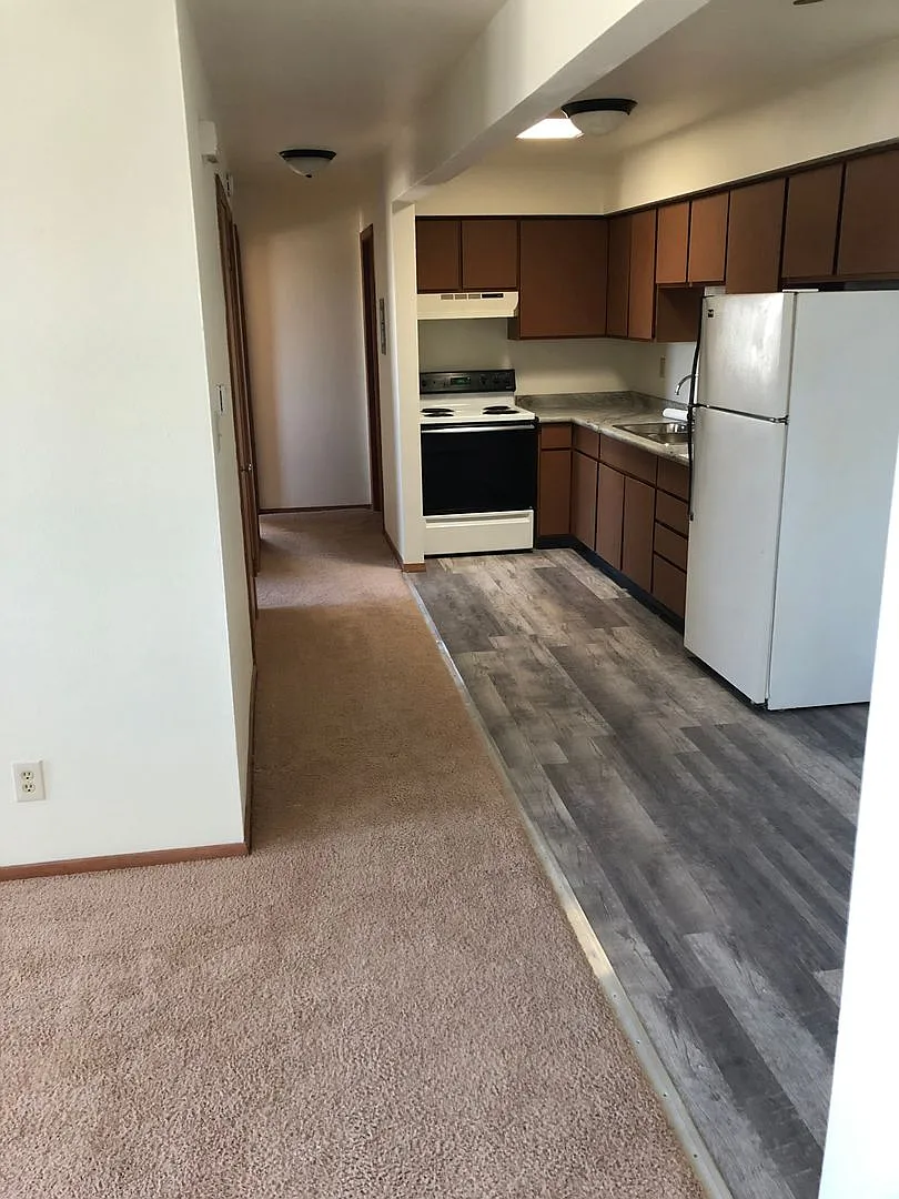 703coll — Photo 4