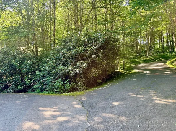 TBD Chestnut Mountain Road, Banner Elk, NC 28604