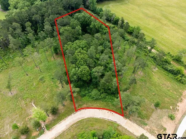 0 Cottonwood Cir, Hallsville, TX 75650