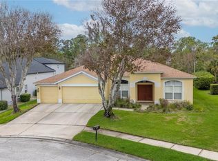 6111 Heroncrest Ct, Lithia, FL 33547