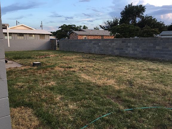 Back yard