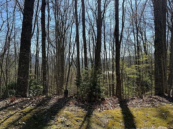 4th image of lot 22 Bright Mountain