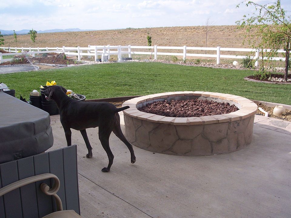 Back   Fire Pit