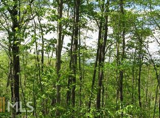 0 Green Ridge Rd #24, Blue Ridge, GA 30513