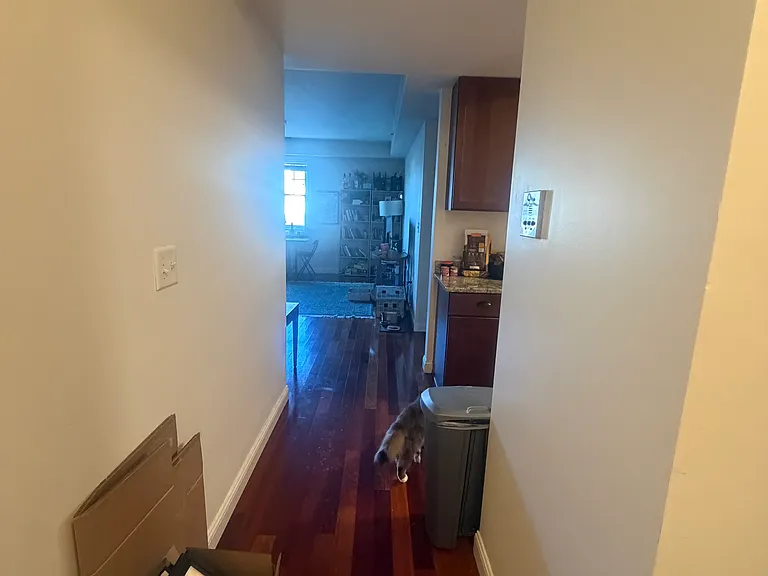 43 Pitman St #301 — Photo 9