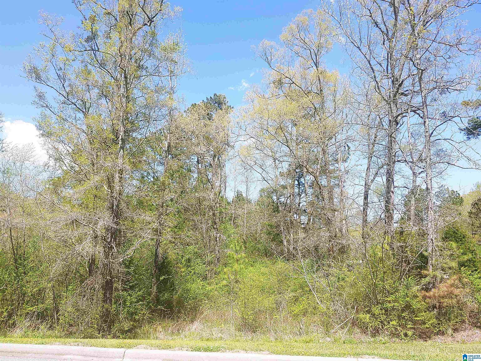 0 Ridgely Dr #1, Anniston, AL 36207 | Zillow