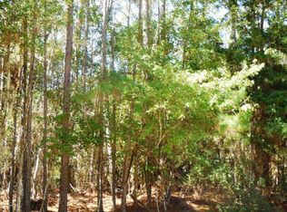 110 Dolphin Dr, Georgetown, FL 32139