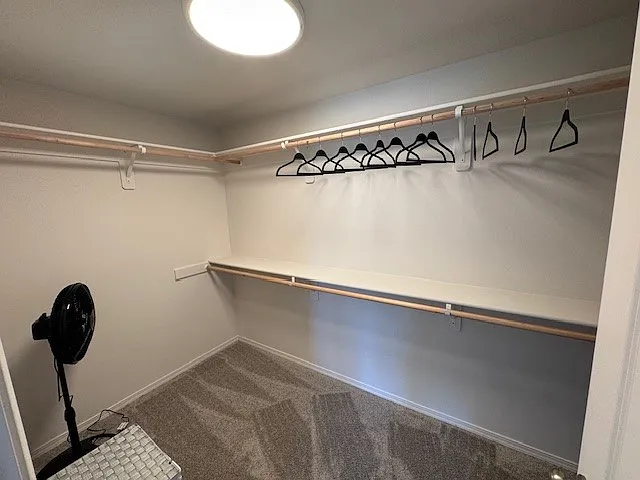 master bedroom walk in closet
