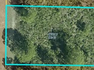 1036 Dearborn St, Lehigh Acres, FL 33974