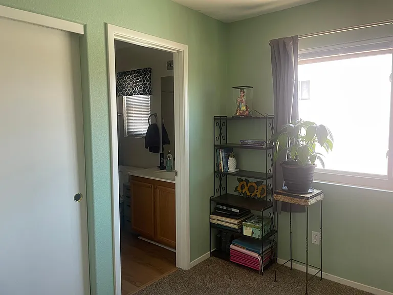 5316 Big Fawn Ct — Photo 33