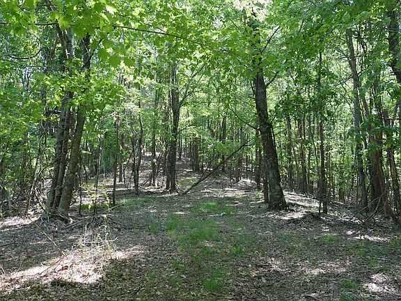 3rd image of Bedsaul Rd Lot Wp001