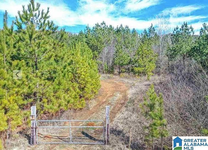 0 State Highway 174, Springville, AL 35146 MLS 1309666 Zillow