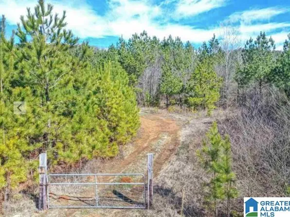 0 State Highway 174, Springville, AL 35146