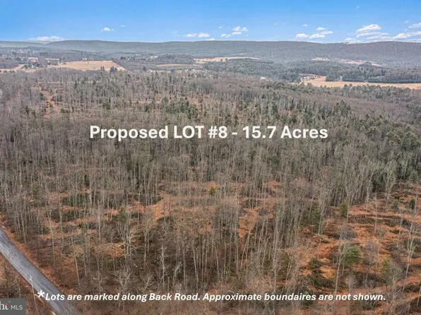 LOT 8 Back Rd S, Barnesville, PA 18214