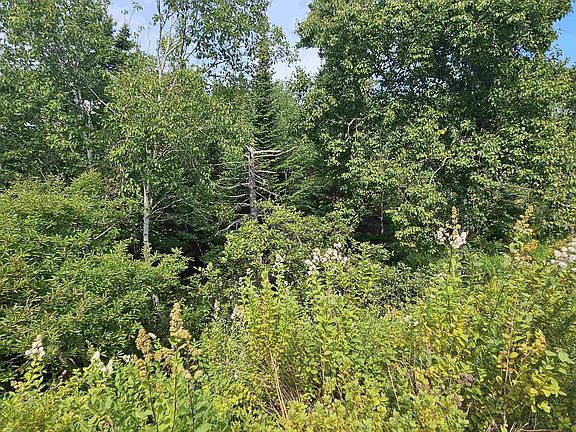 2nd image of LOT 7 Prospect Rd