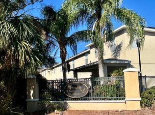 9907 Serona Bluff Way, Tampa, FL 33619