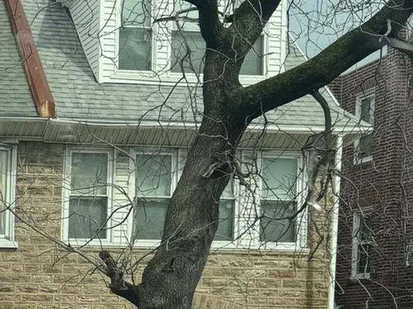 1825 Erlen Rd, Elkins Park, PA 19027