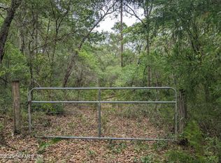 310 Orange Springs Cutoff Rd, Hawthorne, FL 32640