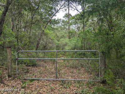 310 ORANGE SPRINGS CUTOFF Road, Hawthorne, FL, 32640