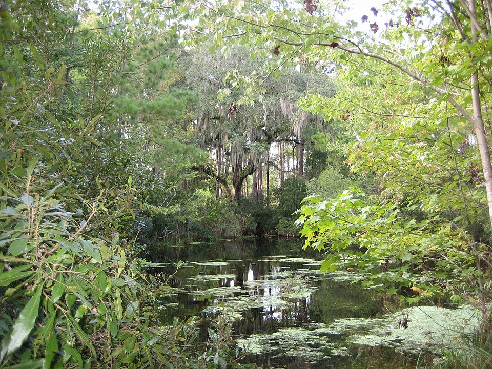 1st image of 132 Island Dr