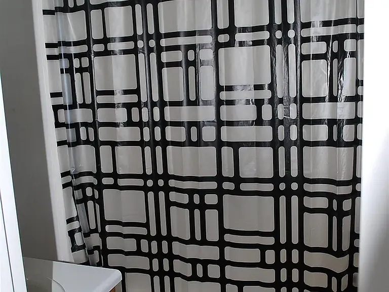 209 E Wilson St #1 — Photo 11