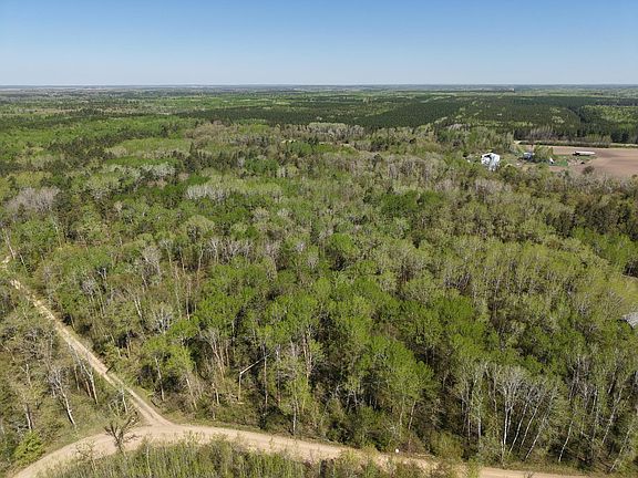 4th image of 8 Bog Lake Trl
