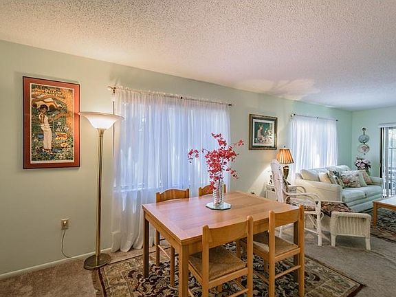 Living/dining room filled with light